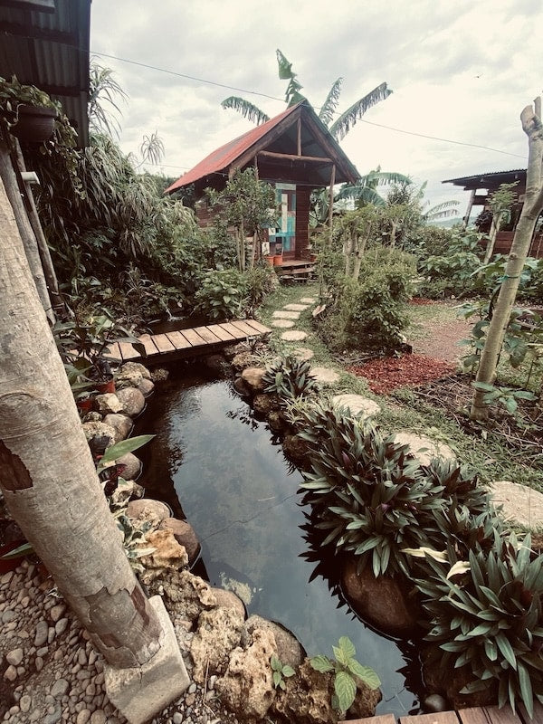 Hand-built red-roof cabin beside a koi pond and timber footbridge