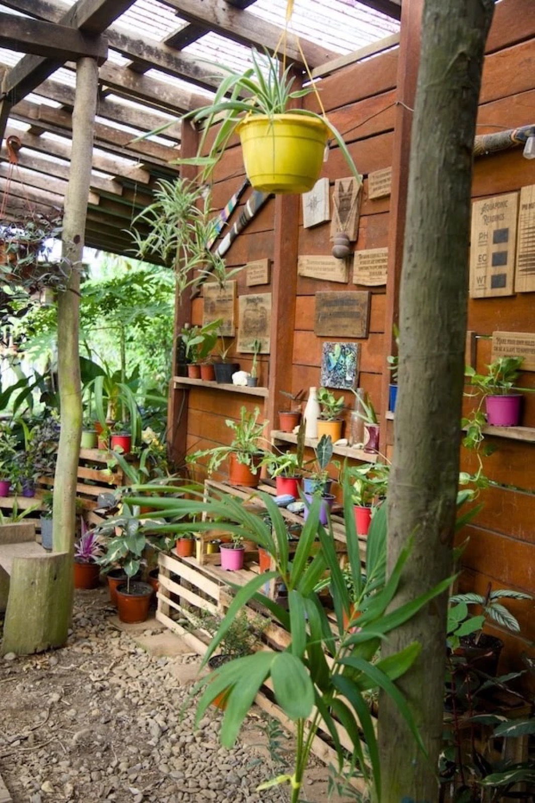 Plant nursery under cover with potted plants and hand-painted signs