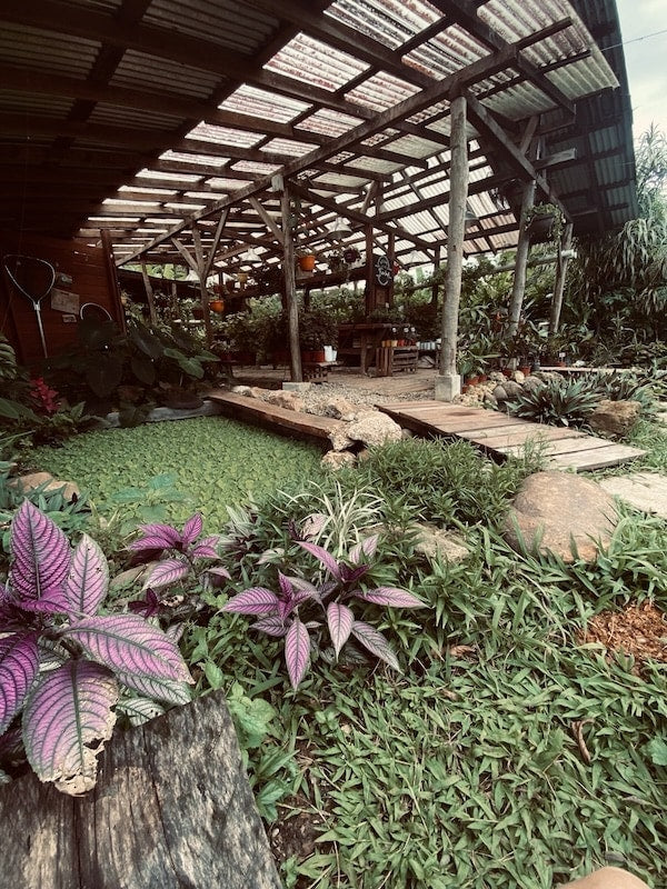 Shade pavilion beside the garden pond and stone walkway