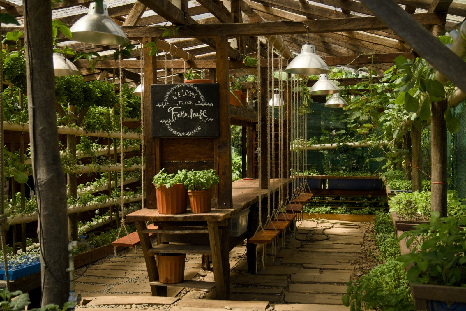 Interior of the timber greenhouse with vertical grow walls and aquaponics beds