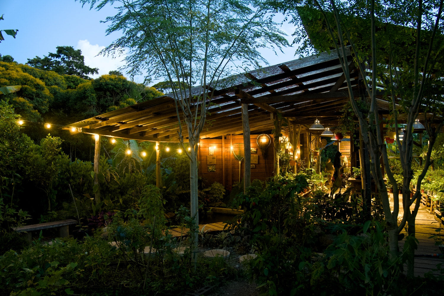 Hand-built open-air timber pavilion glowing with string lights at dusk on the island homestead