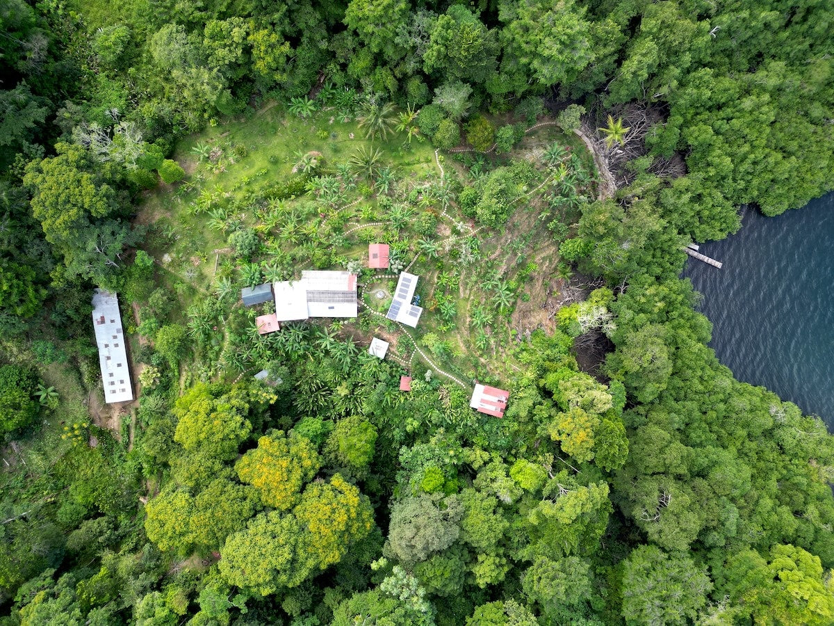 Top-down aerial of the homestead clearing, solar array and private dock