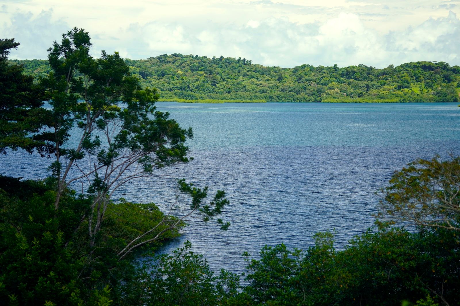 Vista al mar desde la finca en Isla Solarte, sobre la bahía azul y tranquila de Bocas del Toro, Panamá, hacia colinas con bosque