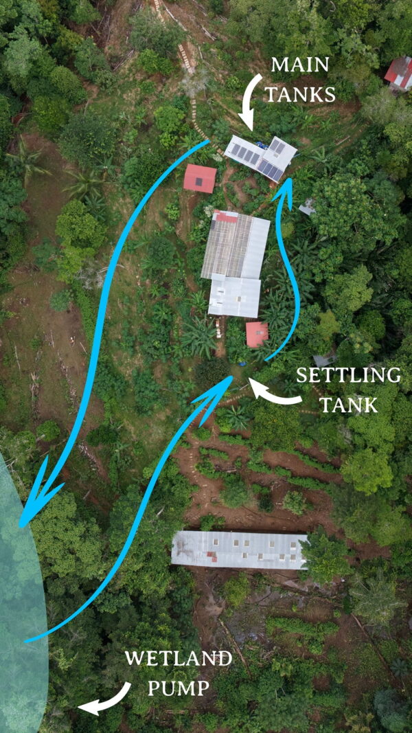 Aerial diagram of the homestead's rainwater catchment, settling tank and wetland pump water system